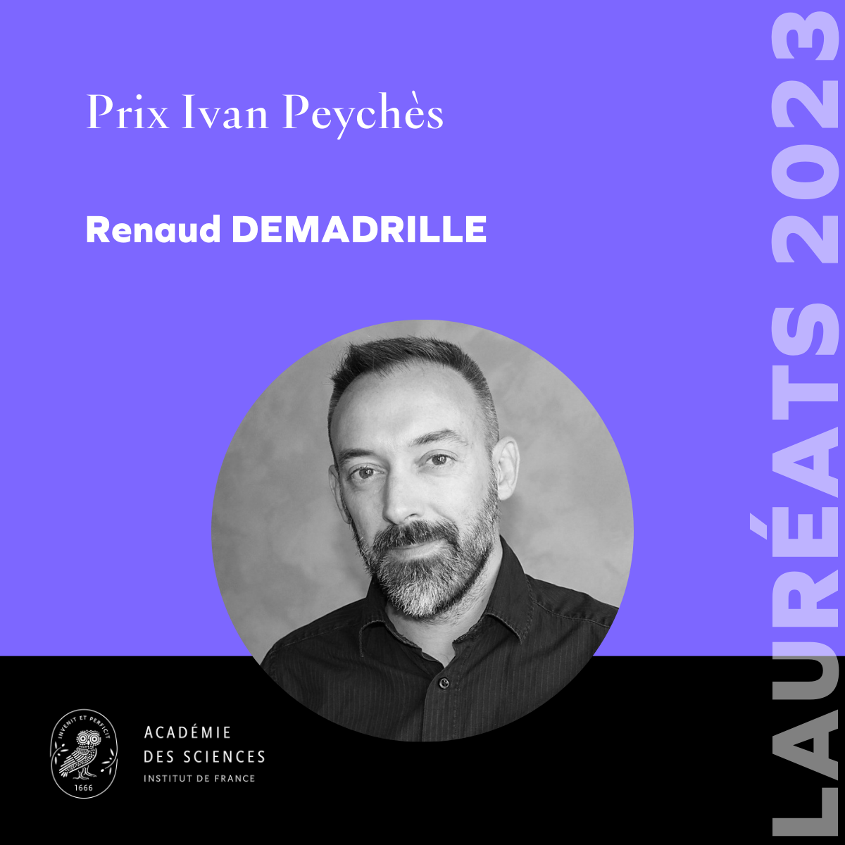 Renaud DEMADRILLE