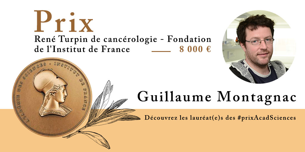 Guillaume Montagnac