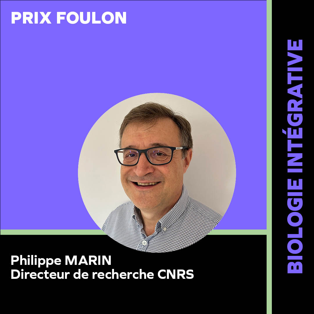 MARIN PHILIPPE