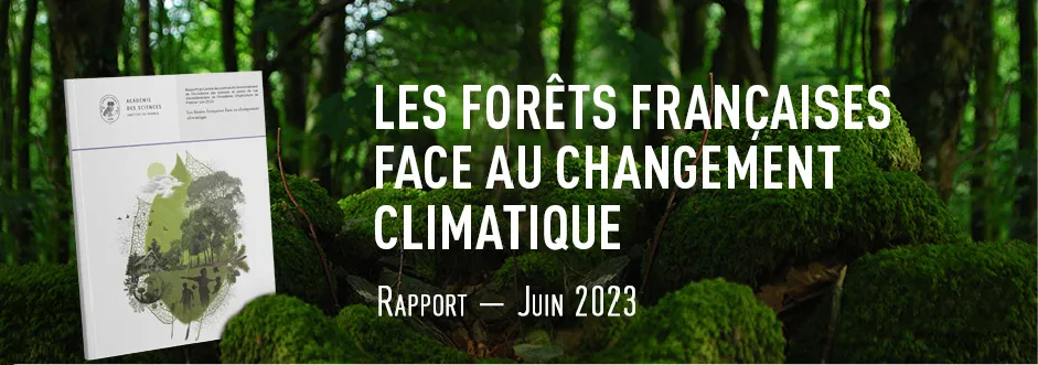 Les forêts françaises face au changement climatique - Rapport