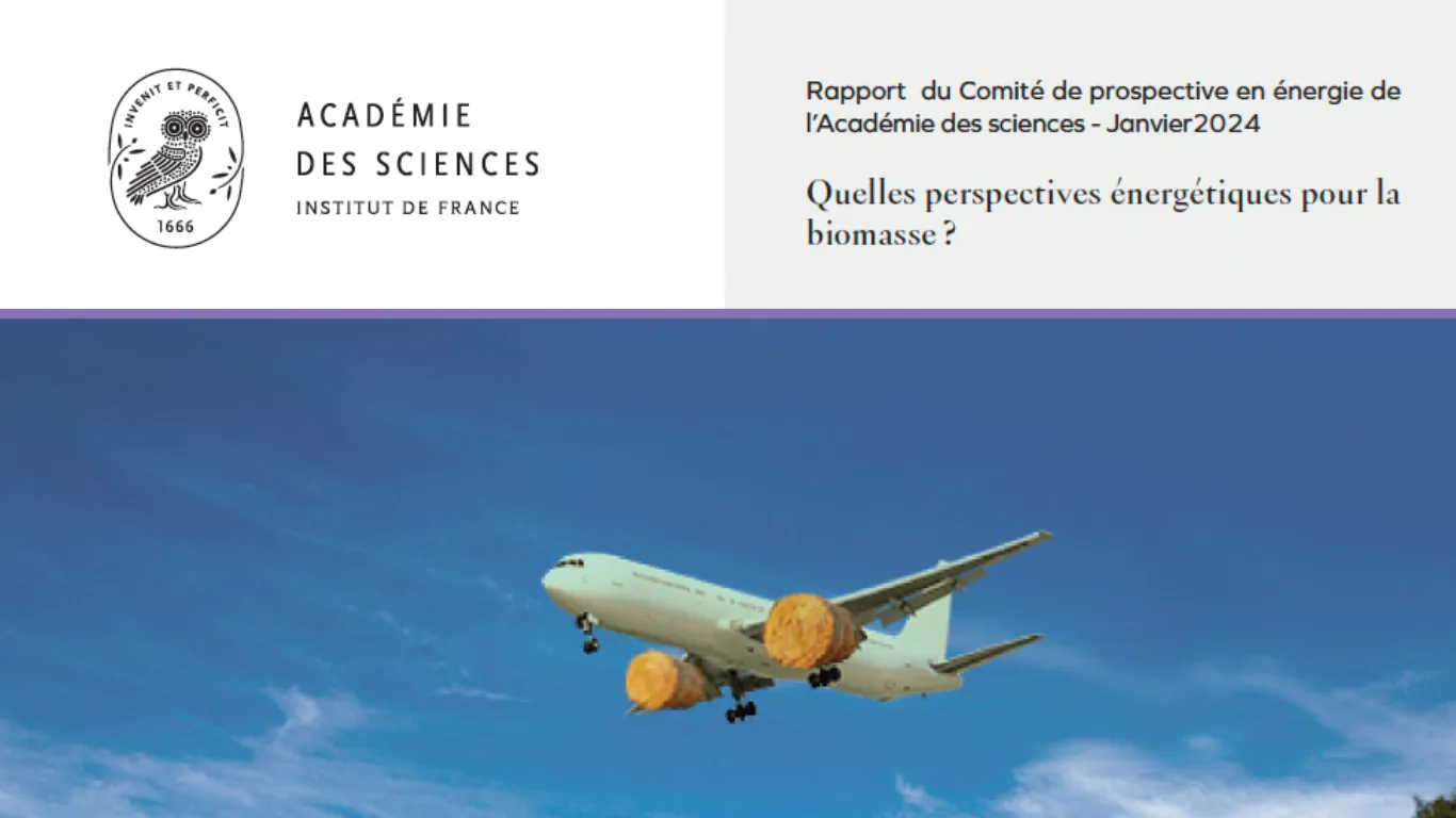 Quelles perspectives énergétiques pour la biomasse ? - Rapport