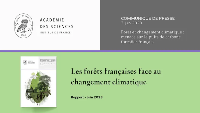 Communiqué de presse | Forêt et changement climatique : menace sur le puits de carbone forestier français 