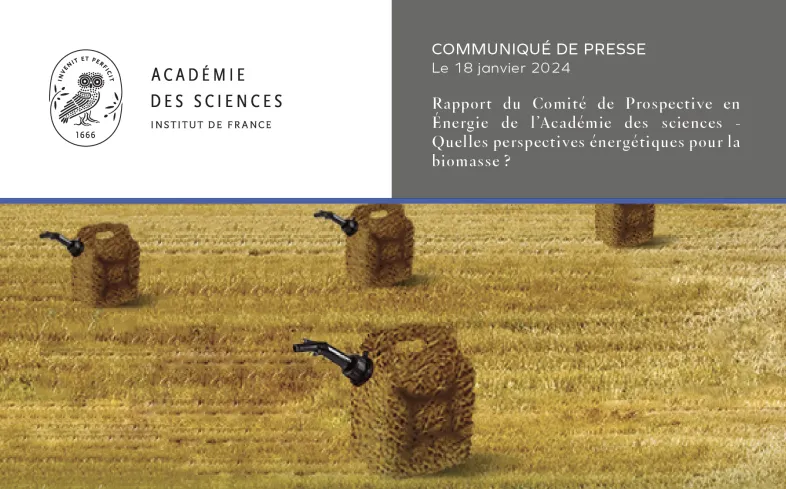 Communiqué de presse | Rapport du Comité de Prospective en Énergie de l’Académie des sciences - Quelles perspectives énergétiques pour la biomasse ?