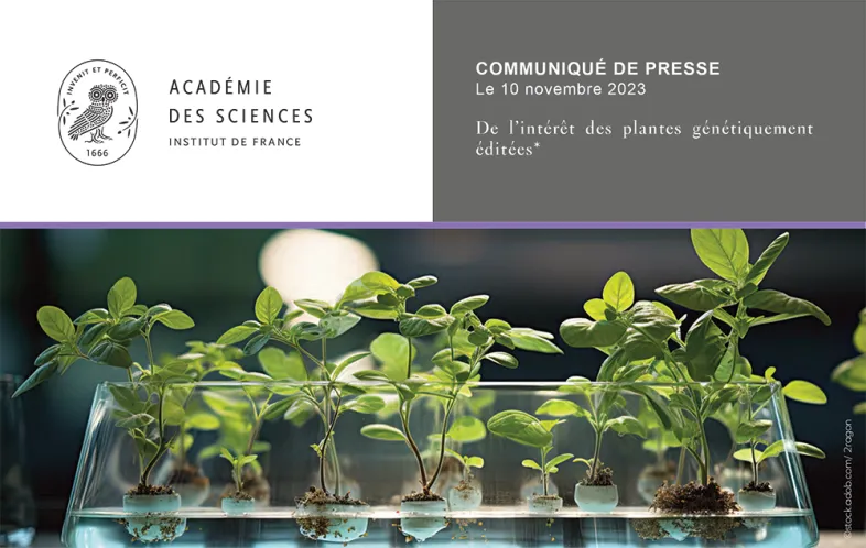 Communiqué de presse | De l’intérêt des plantes génétiquement éditées