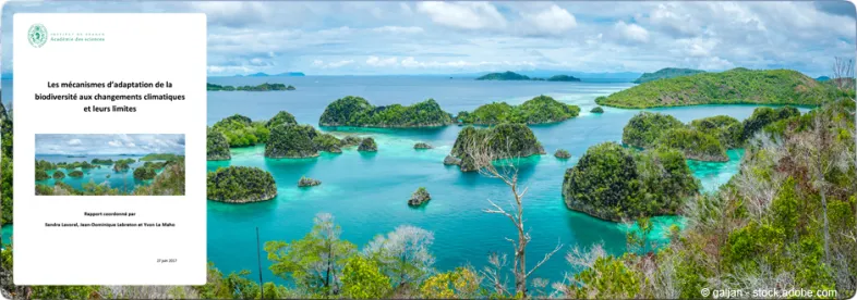 Communiqué de presse :  Rapport de l'Académie des sciences "Les mécanismes d’adaptation de la biodiversité aux changements climatiques et leurs limites"