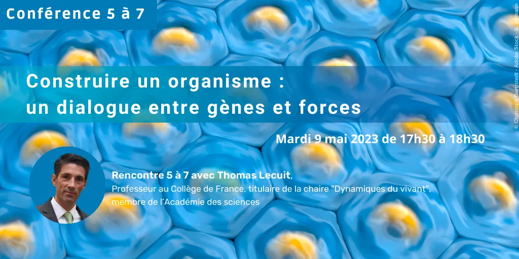 Construire un organisme : un dialogue entre gènes et forces - Rencontre 5 à 7 avec Thomas Lecuit