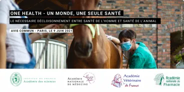 One Health - Un Monde, une seule Santé - Le nécessaire décloisonnement entre santé de l’Homme et santé de l’animal