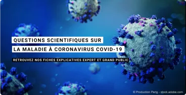 Nos fiches explicatives sur la maladie à coronavirus Covid-19